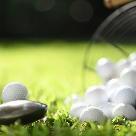 Posidonia Апарт-отель Сон-Парк