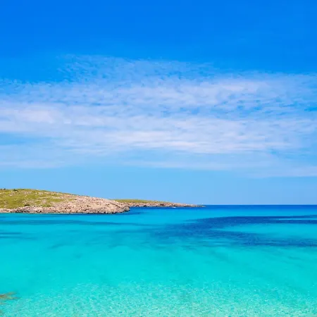 Posidonia Son Parc