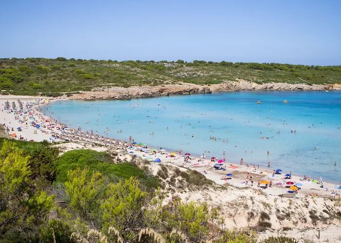 Posidonia Aparthotel Son Parc